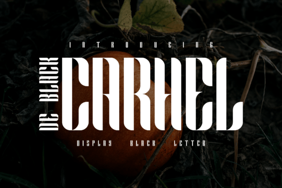 Carhel De Black Display Font for Fashion and Editorial Web Design