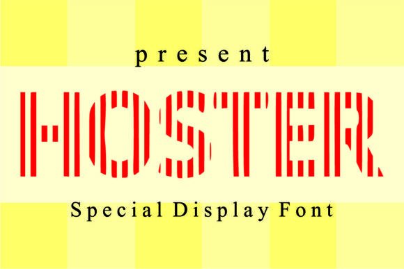 Hoster Display Font for Bold Business Branding