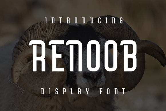 Renoob: A Fun Display Font for Editorial Design